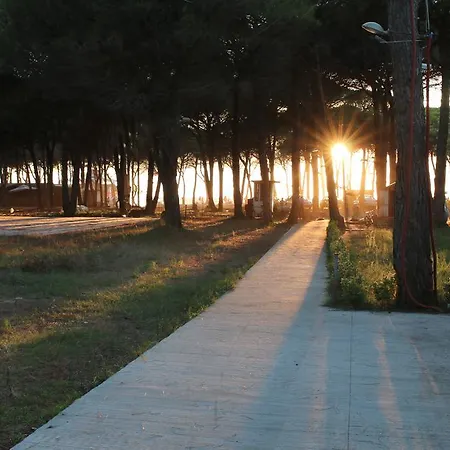 别墅 太阳公寓 *